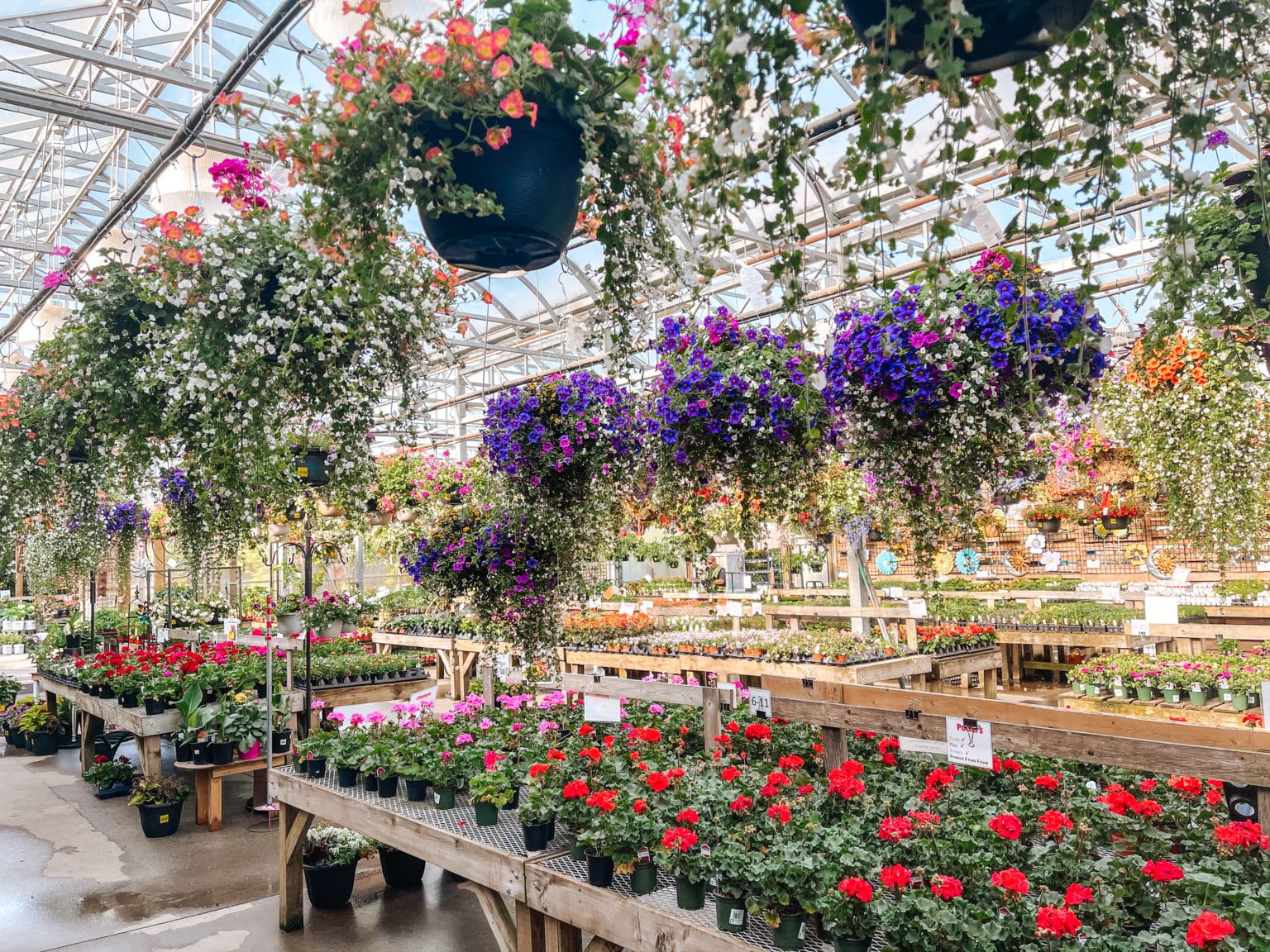 Store Hours Potters Nursery & Garden Centre