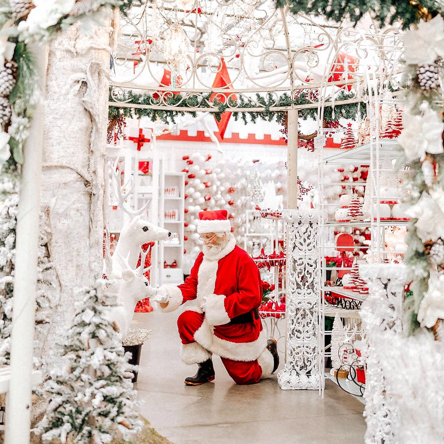 The Christmas Store Potters Nursery Garden Centre