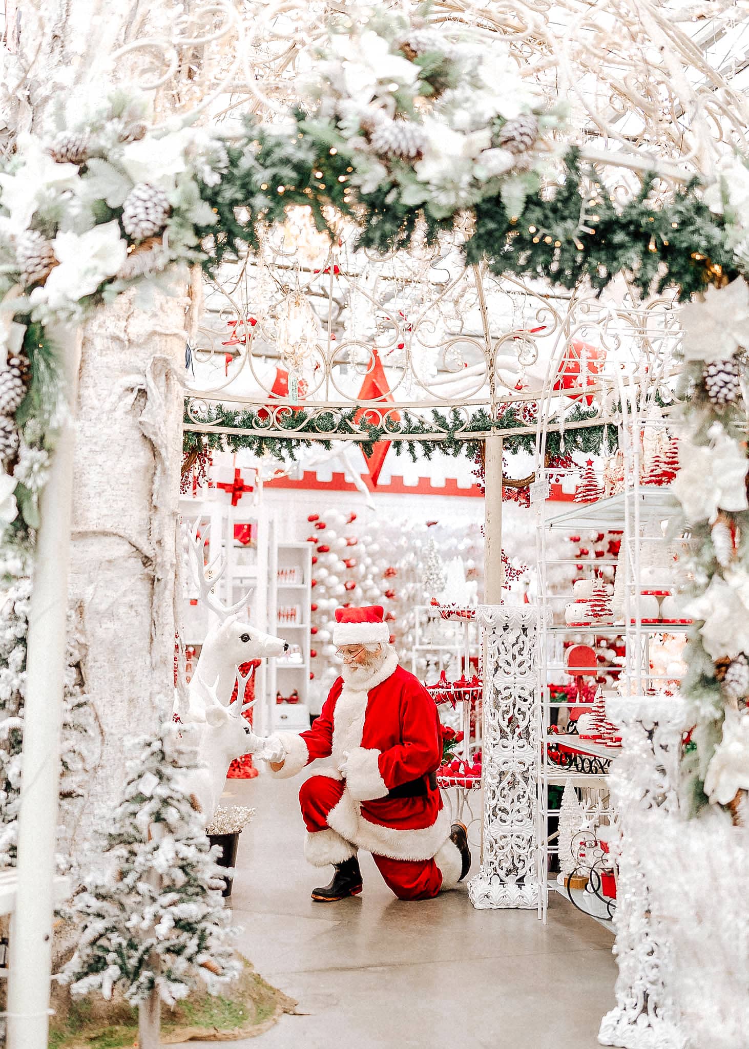 Store Hours Potters Nursery & Garden Centre